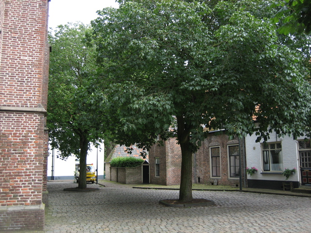 Plein-06