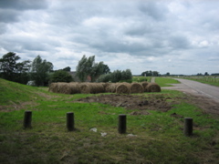 Burg-07