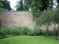 Wal-05